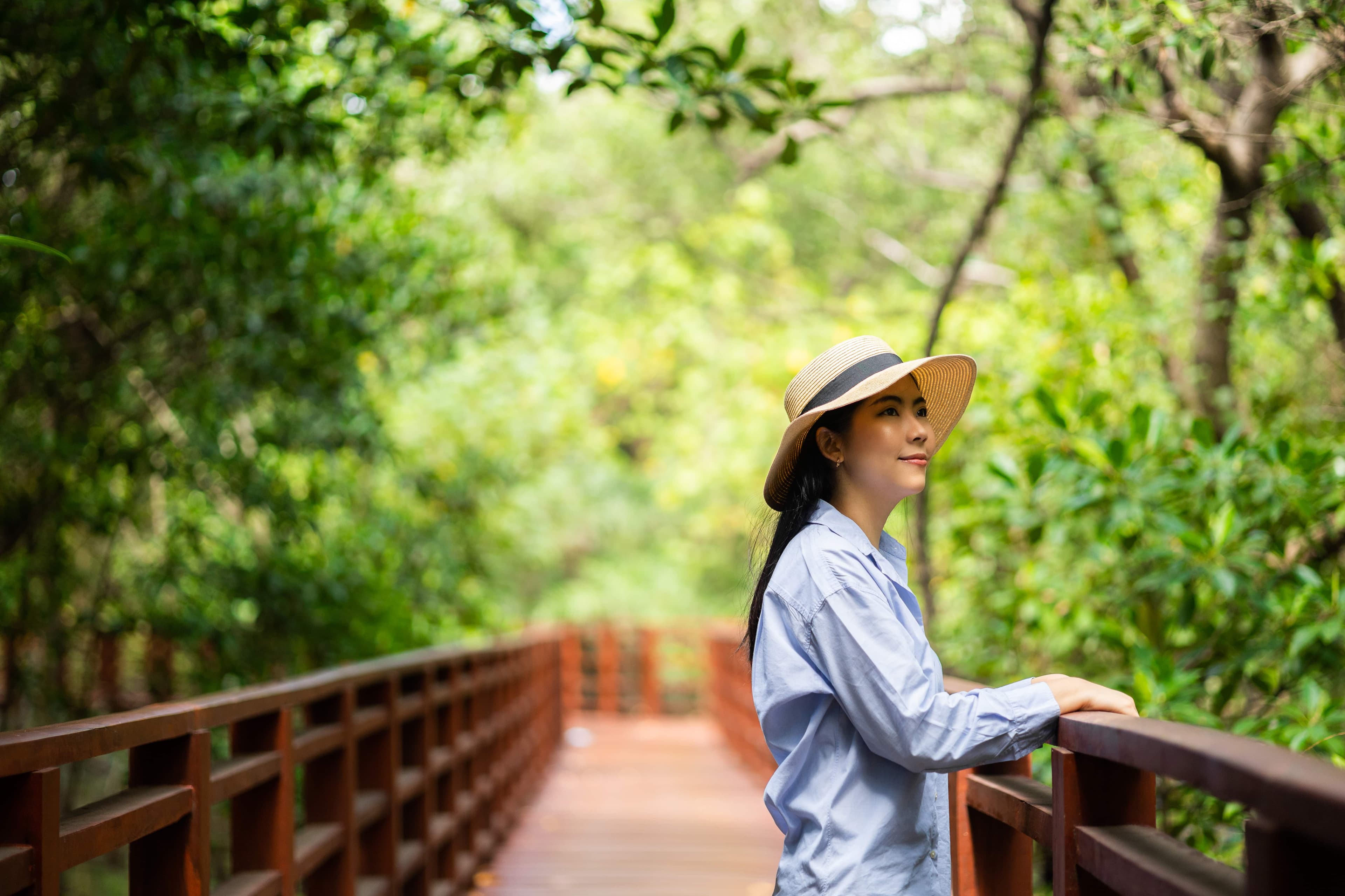 Traveler on a wooden boardwalk through lush forest